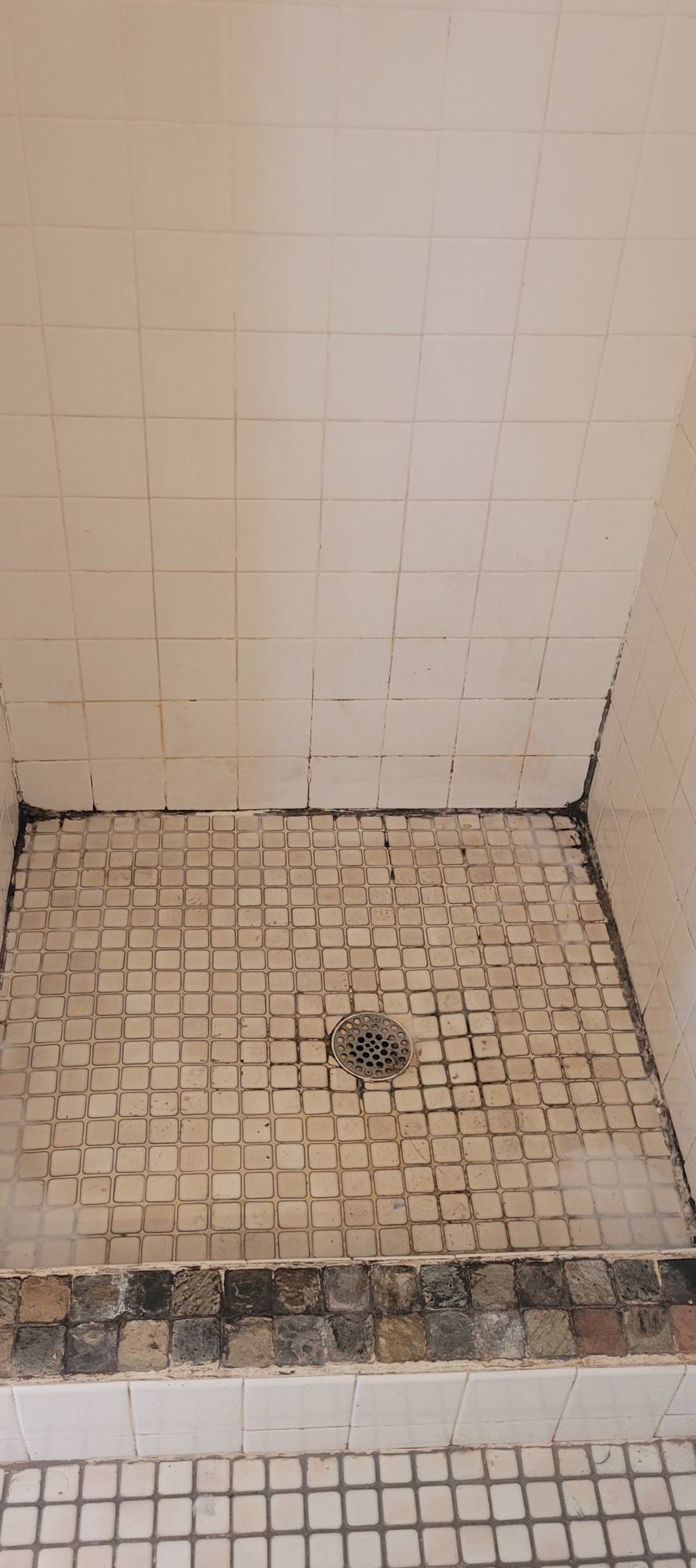 Shower tile after cleaning